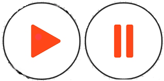 Play/Pause Athirappilly Waterfalls clip - Fraternal Credit Irinjalakkuda